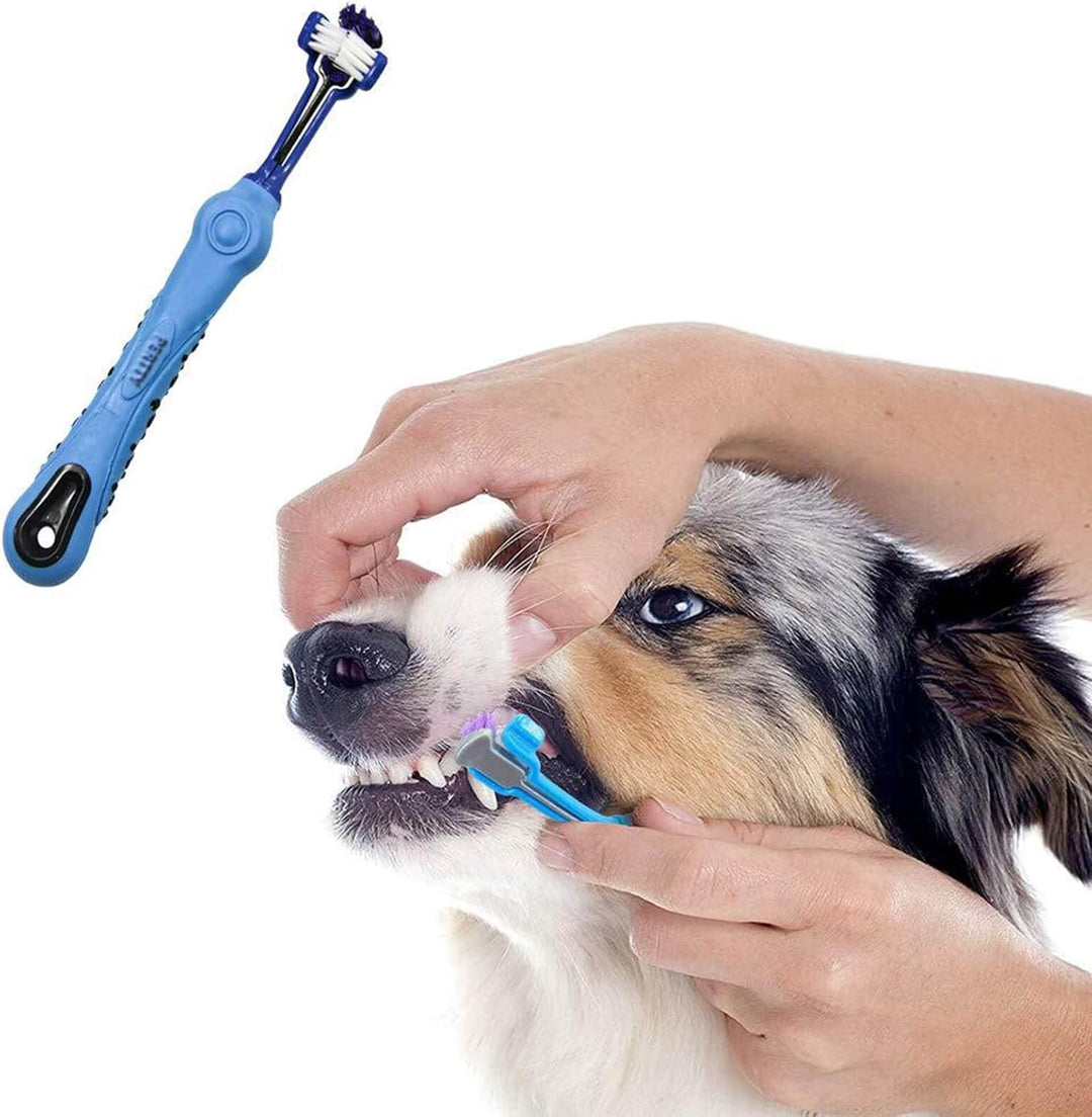 Pet oral hygiene tool: 3-sided dog toothbrush for effective tartar removal.