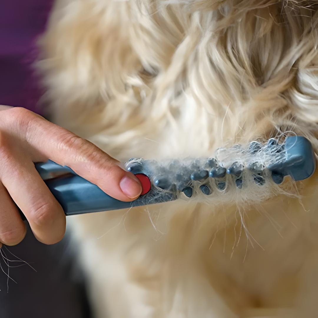 Cat groomer & fur trimmer for gentle coat care. Removes tangles, ensuring pet comfort & a healthy, sleek cat coat.