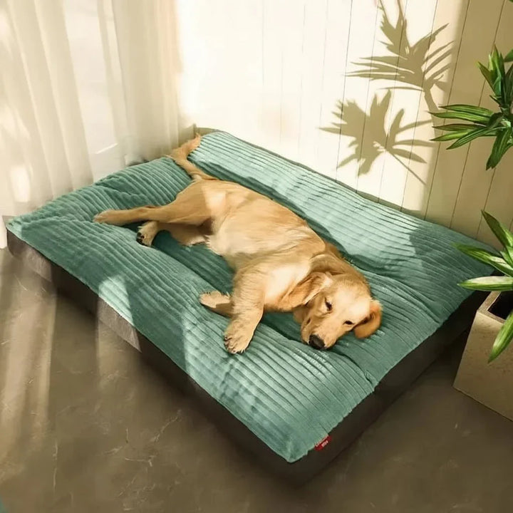 Plush orthopedic dog bed for joint support & deep sleep. Provides soothing comfort & relaxation for pets.