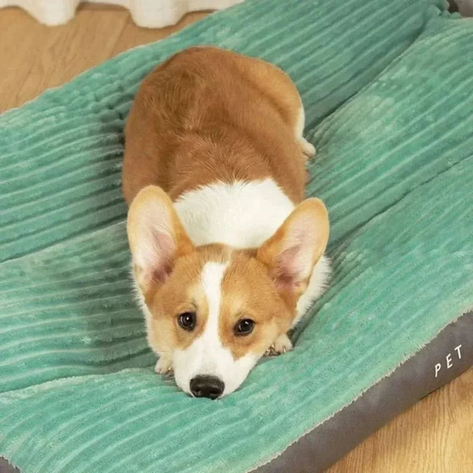 Large orthopedic dog bed, plush & durable, perfect for deep sleep & pet comfort. Machine washable for ease.