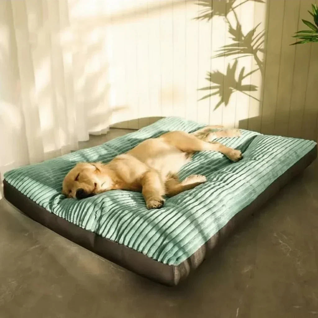 Orthopedic dog bed offering superior joint support & soothing comfort for deep sleep. Durable & soft for pets.