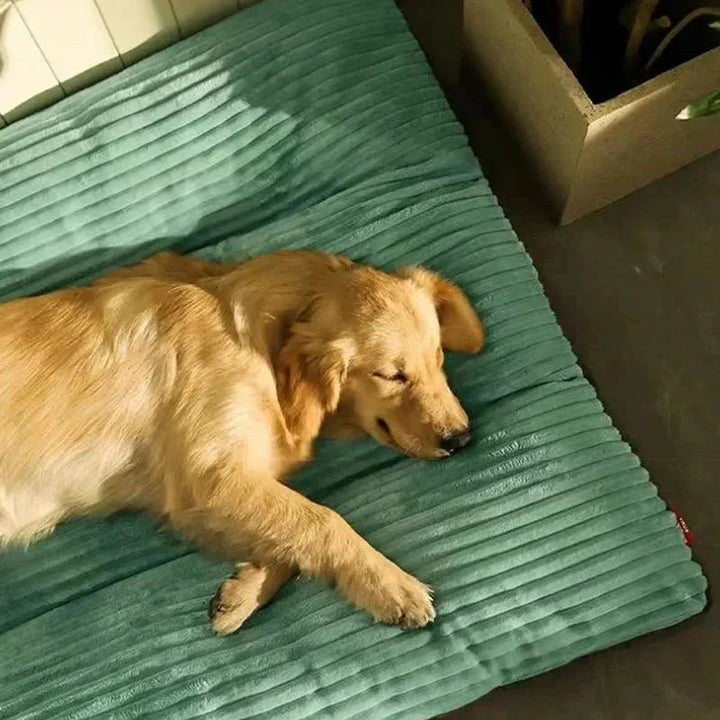 Durable & plush orthopedic dog bed for pet comfort. Machine washable for easy care, providing joint support.