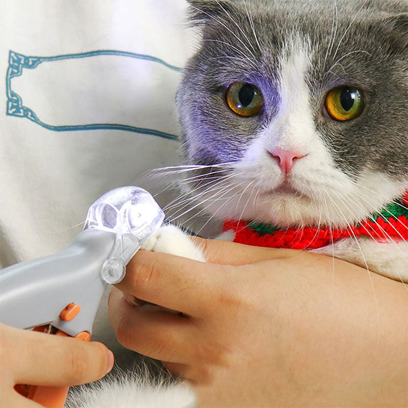 Professional dog nail clipper with LED Quick Sensor, stainless steel blades for safe pet grooming & pet care.
