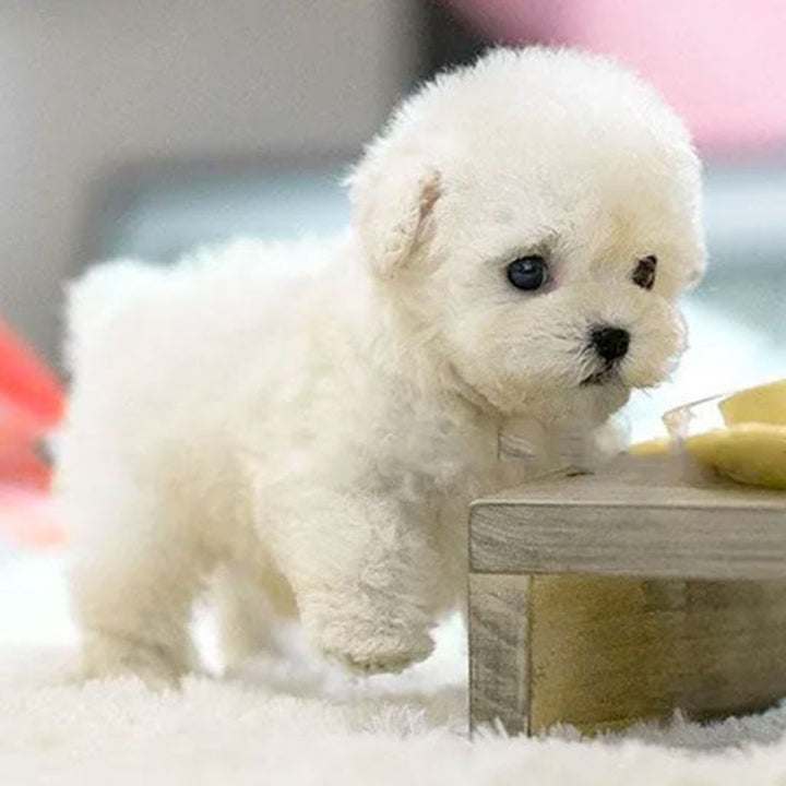 Electronic pet puppy robot toy, interactive and realistic for kids, a perfect companion and fun walking dog.
