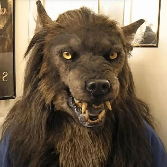 High-quality realistic werewolf mask, a perfect unisex accessory for Halloween, cosplay, or scary costume events.