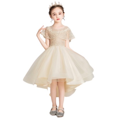 Back view of a girls' champagne beaded tulle princess dress with elegant floral design