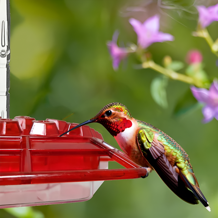 Red hummingbird feeder with built-in ant moat & bee guard. Attracts backyard birds. Durable garden decor.