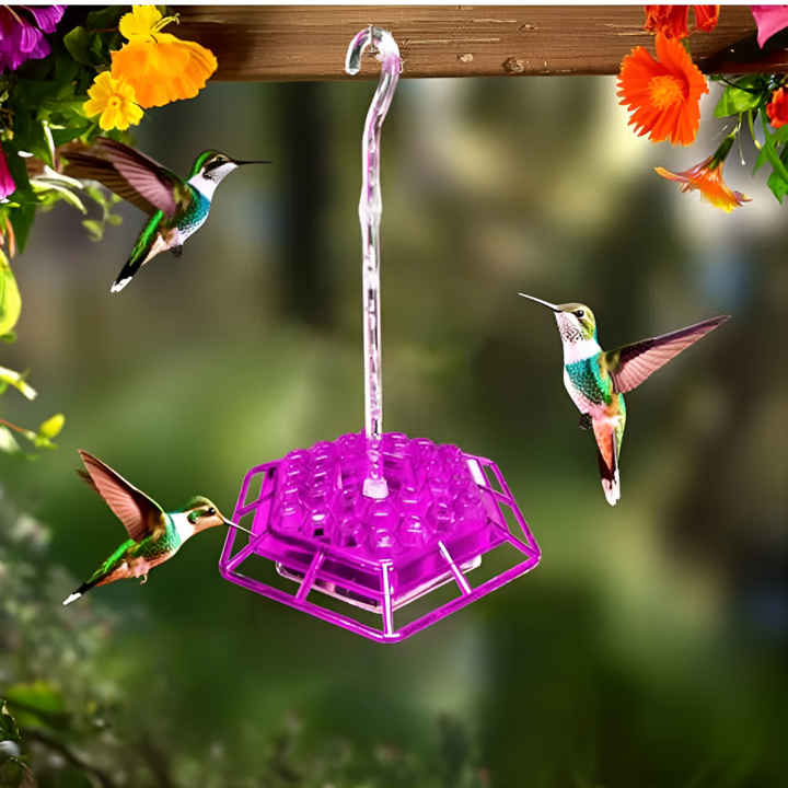 Close-up of red hummingbird feeder. Ant moat & bee guard protect nectar for happy backyard hummingbirds.