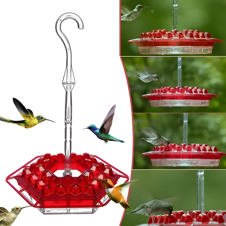 Elegant nectar feeder for hummingbirds. Built-in ant moat & bee guard ensure clean, fresh food for birds.