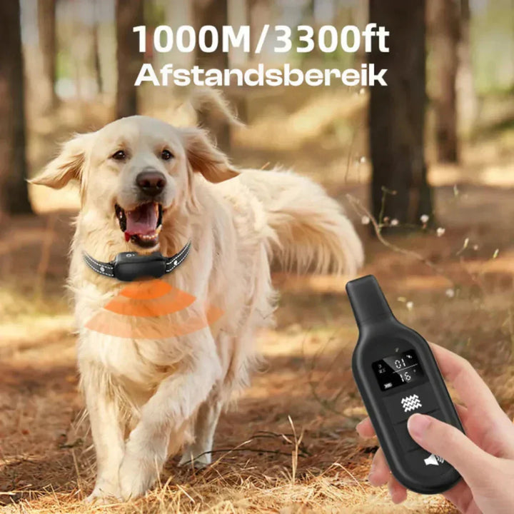 Effective waterproof remote dog training collar for all breeds, improving pet behavior and obedience with long range.