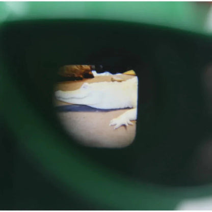 Hands holding a retro 3D viewer, showcasing its nostalgic design and educational value