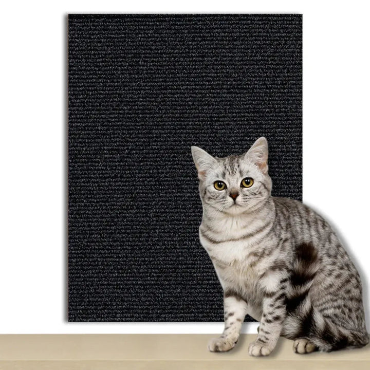 Pet-friendly self-adhesive furniture protector. Invisible cat scratch prevention for modern homes.