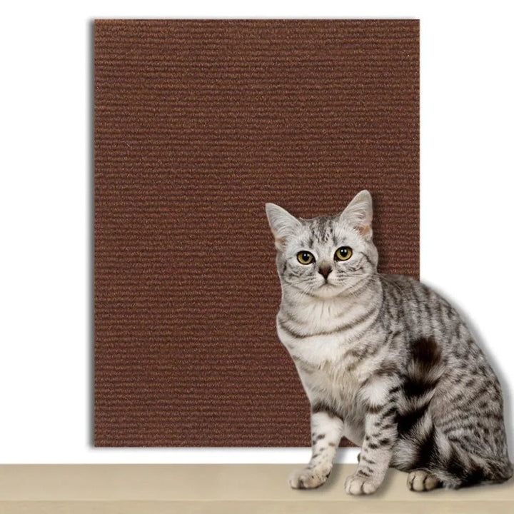 Multi-purpose self-adhesive pet scratch guard. Shields furniture, walls, and doors effectively.