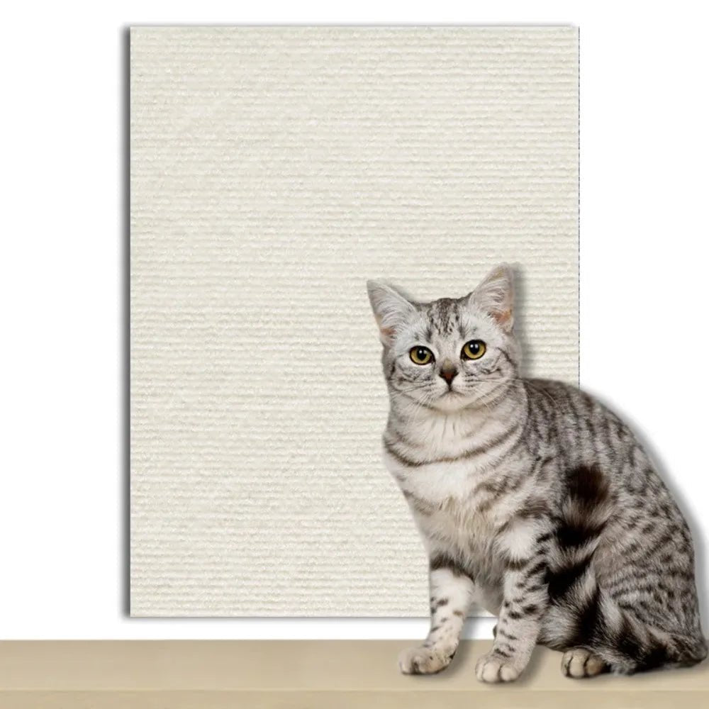 Clear self-adhesive furniture shield for cats. Essential cat accessories for home protection.