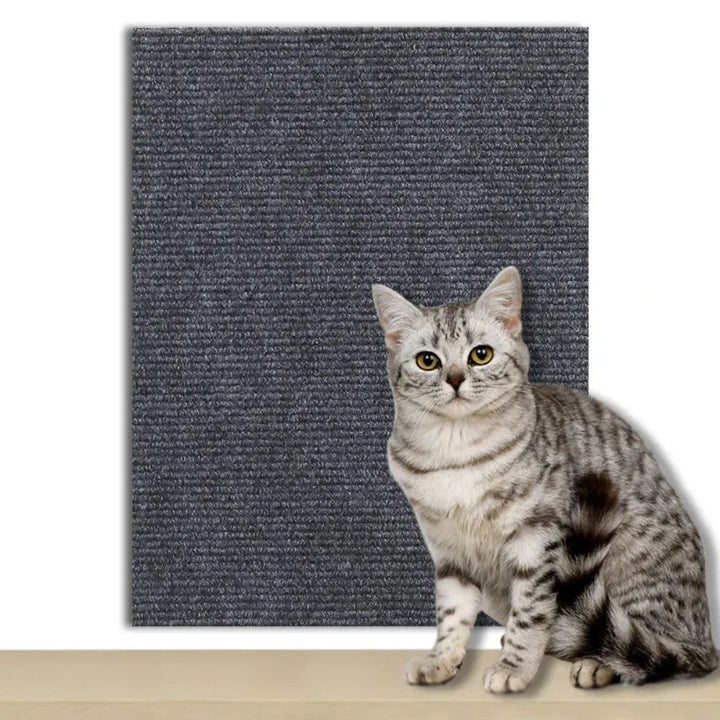 Flexible self-adhesive cat scratch guard. Protects upholstery & carpet from sharp cat claws.