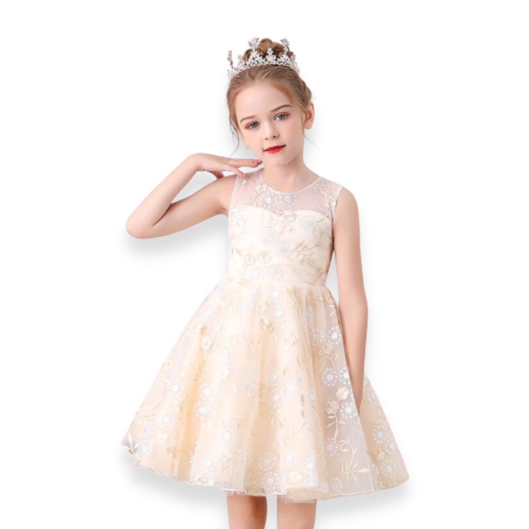 Beautiful girls' princess dress featuring intricate floral lace and embroidered design.