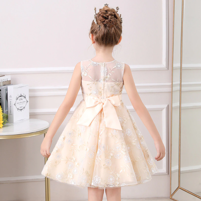 Toddler girls' floral lace embroidered party dress, perfect for any celebration.