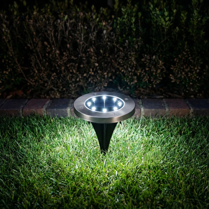 Sleek outdoor solar disk lights embedded in a garden path.