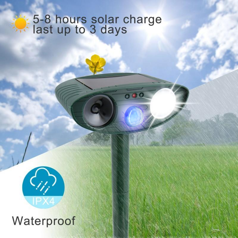 Garden protector: humane ultrasonic wildlife repellent keeps deer away.