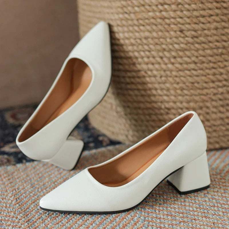 Stylish women's pointed toe block heels, non-slip sole for stability & comfort. Perfect for office or evening wear.