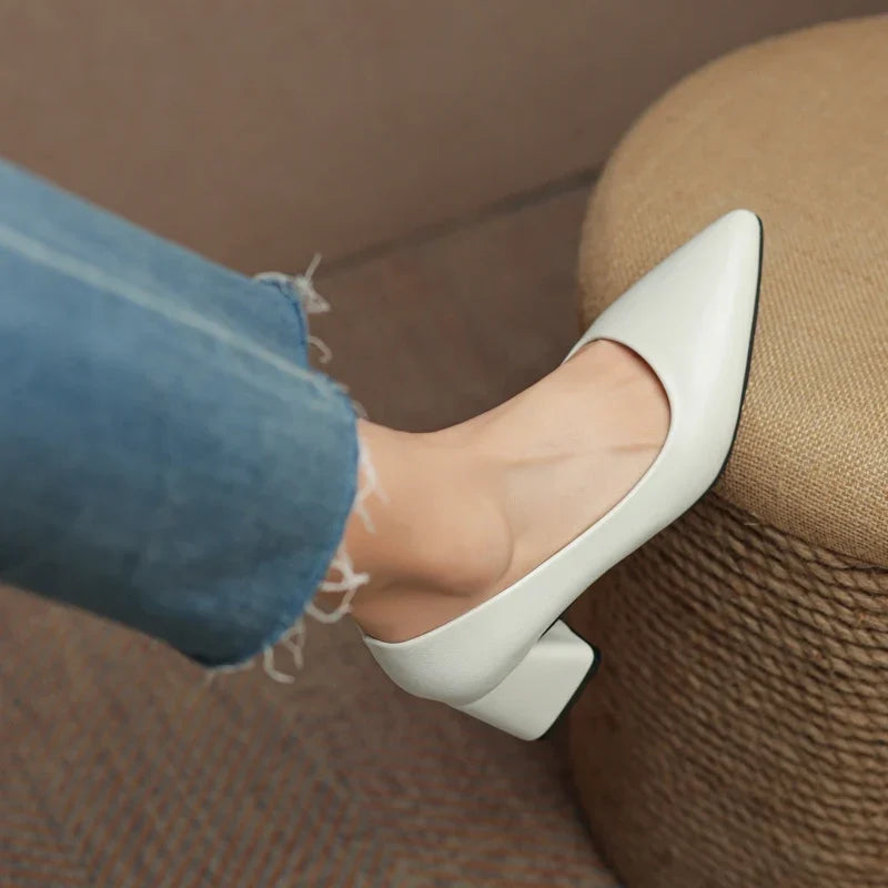 Chic pointed toe block heels for women, featuring a stylish design & stable heel. Versatile for any occasion.