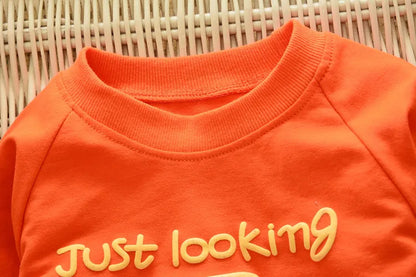 Toddler boys play outfit, soft cotton modal blend t-shirt and pants set