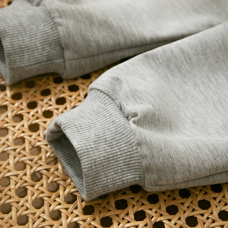 Toddler boys' fall outfit: cotton long-sleeve sweatshirt and matching casual pants.