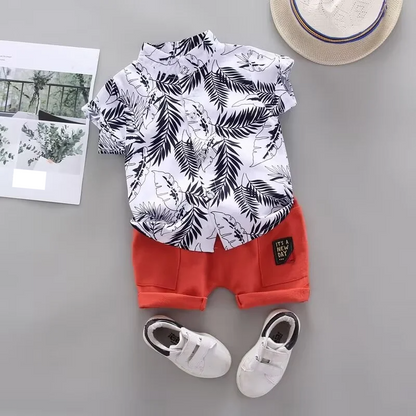 Cute toddler boys' cotton summer outfit featuring a vibrant printed tee and matching solid shorts, play clothes.