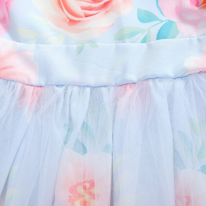 Back view of a beautiful floral pleated lace princess dress for young girls, party wear.