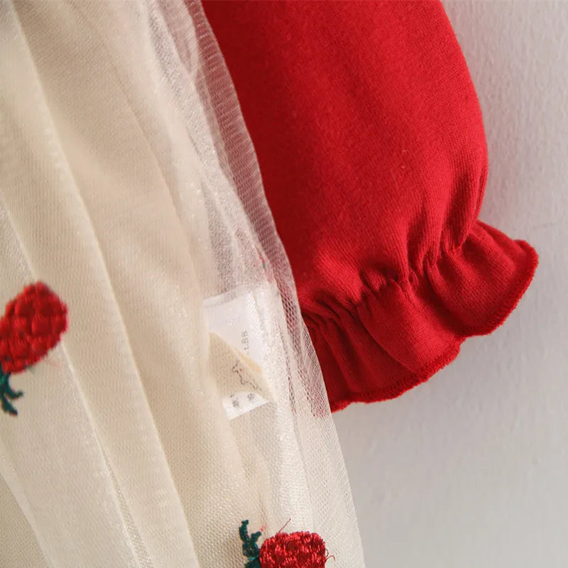 Back view of a charming red lace long sleeve dress, ideal for baby girls' autumn parties.