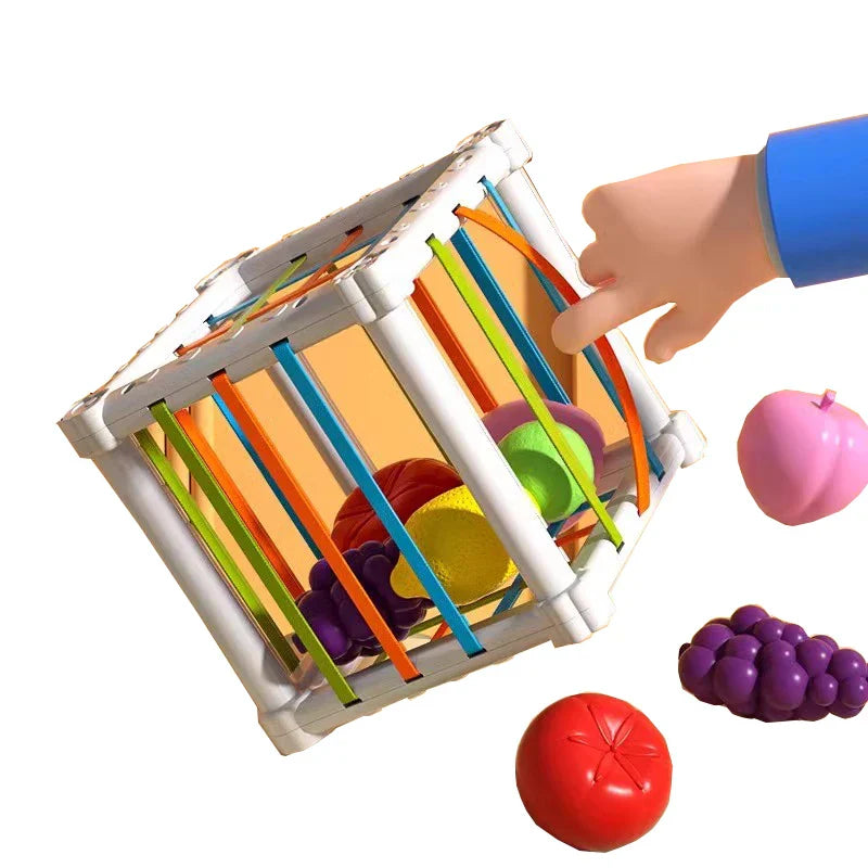 Fruit sorting box toy with vibrant plastic fruits, perfect for early development and learning.