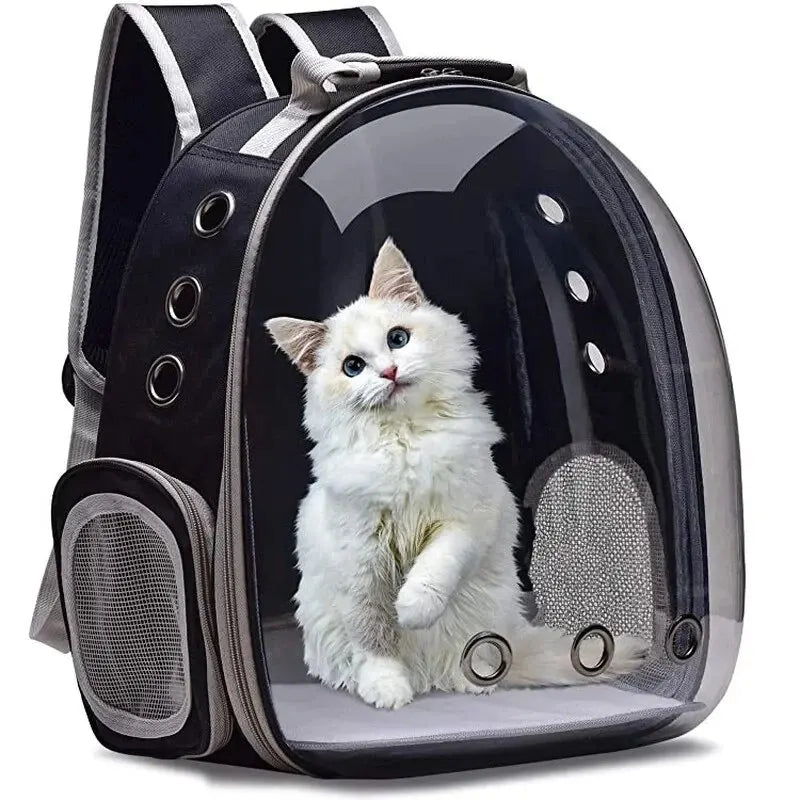 Transparent bubble pet carrier backpack for cats & small dogs. Stress-free travel with panoramic view.