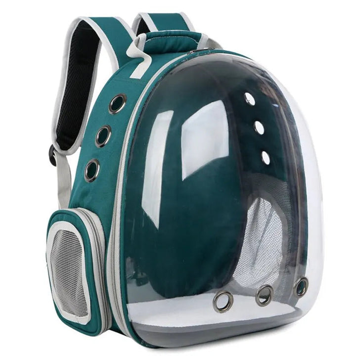 Stylish transparent pet carrier backpack. Ideal for stress-free cat & small dog travel adventures.