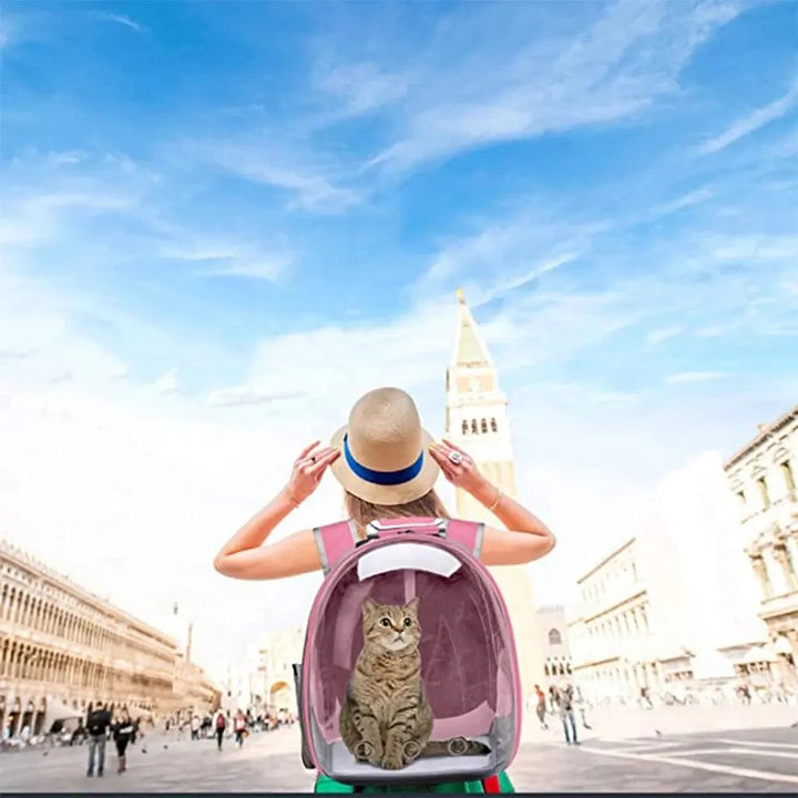 Bubble design pet backpack. See-through cat & dog carrier for safe & easy small pet travel.