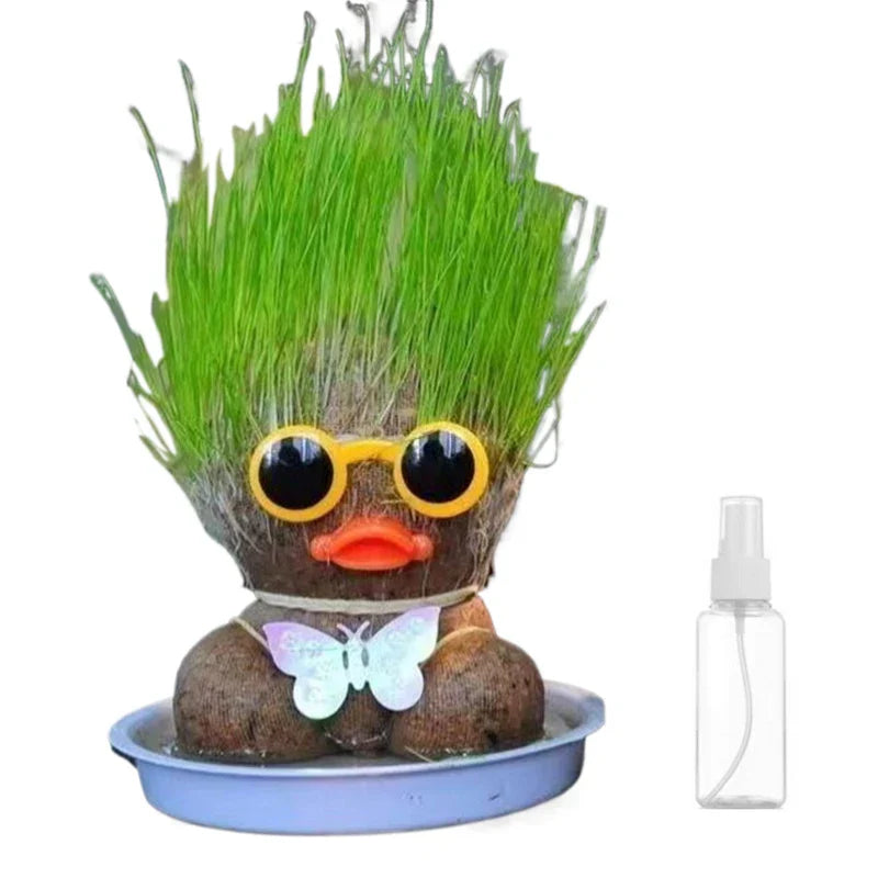 Two Grass Head kits, one with short green 'hair' and one with long, displaying versatile desk decor