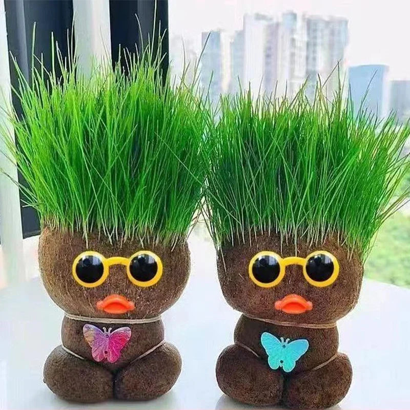 Gift-ready Grass Head Growing Kit, perfect for gardening enthusiasts and air purification