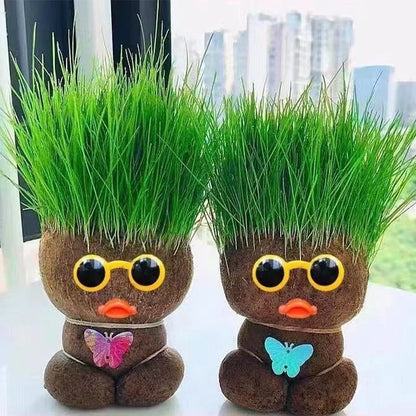 Gift-ready Grass Head Growing Kit, perfect for gardening enthusiasts and air purification