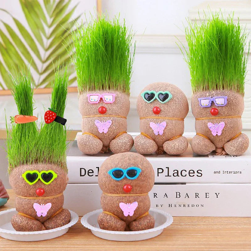 A collection of varied Grass Head houseplant kits, ideal for unique home decoration or desk decor
