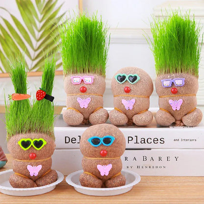 A collection of varied Grass Head houseplant kits, ideal for unique home decoration or desk decor