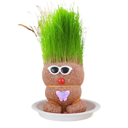 Decorative Grass Head kit with lush green 'hair' and a smiling face, a charming novelty plant