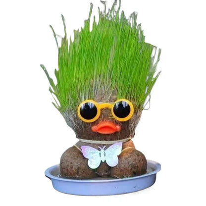 Unisex Grass Head in a contemporary living room setting, enhancing home decor with a touch of green