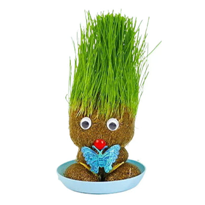 Overhead view of a Grass Head growing kit packaging, highlighting its easy care and gift potential