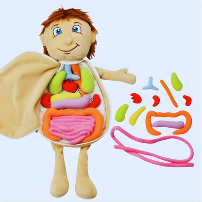 Unisex Kids Educational Human Anatomy Plush Toy, soft and interactive science learning tool for early development