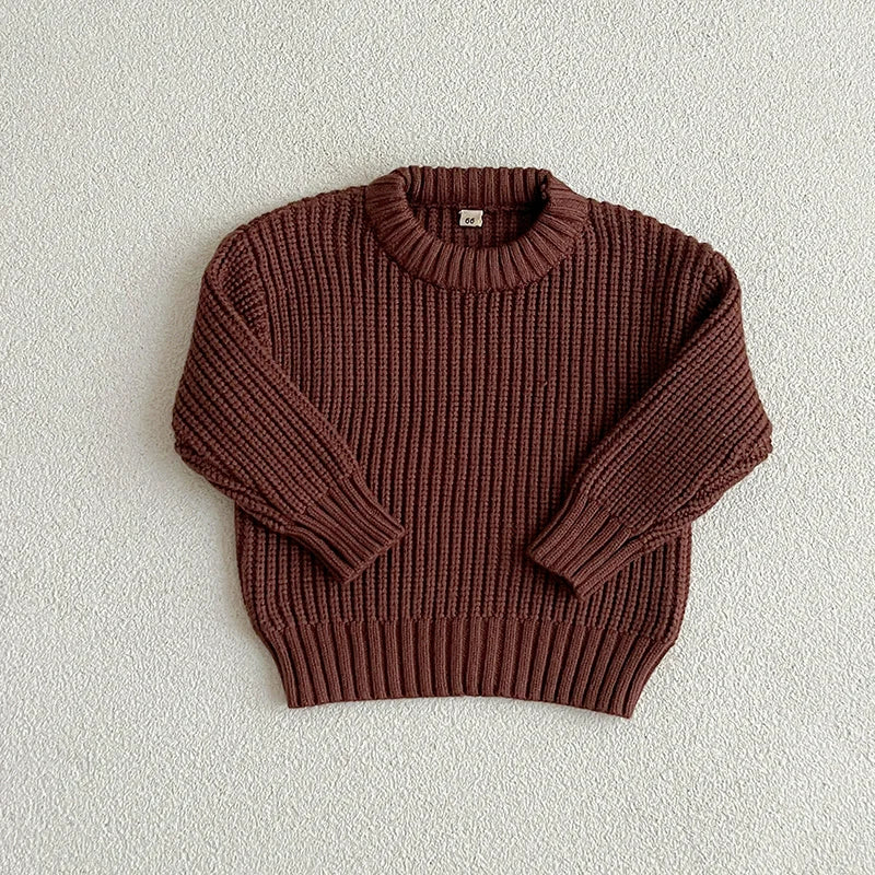 Baby & toddler clothing: cozy knitted sweater in soft cotton, long sleeve design