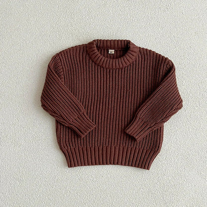 Baby & toddler clothing: cozy knitted sweater in soft cotton, long sleeve design
