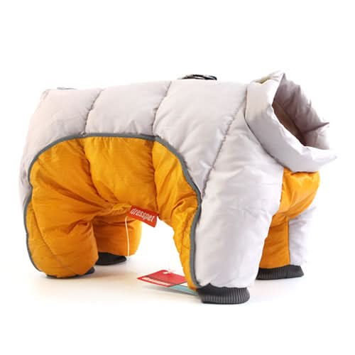 Front view of a happy dog in a snug, waterproof, reflective winter jacket, ready for snow.