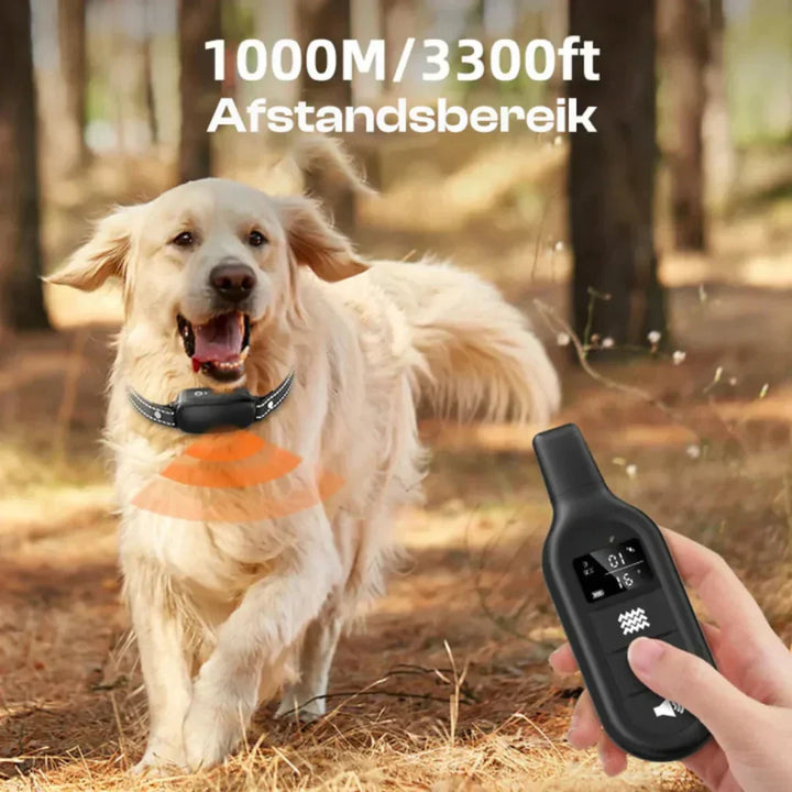 Electronic dog training collar and remote for canine obedience. Ideal for outdoor training and behavior correction.