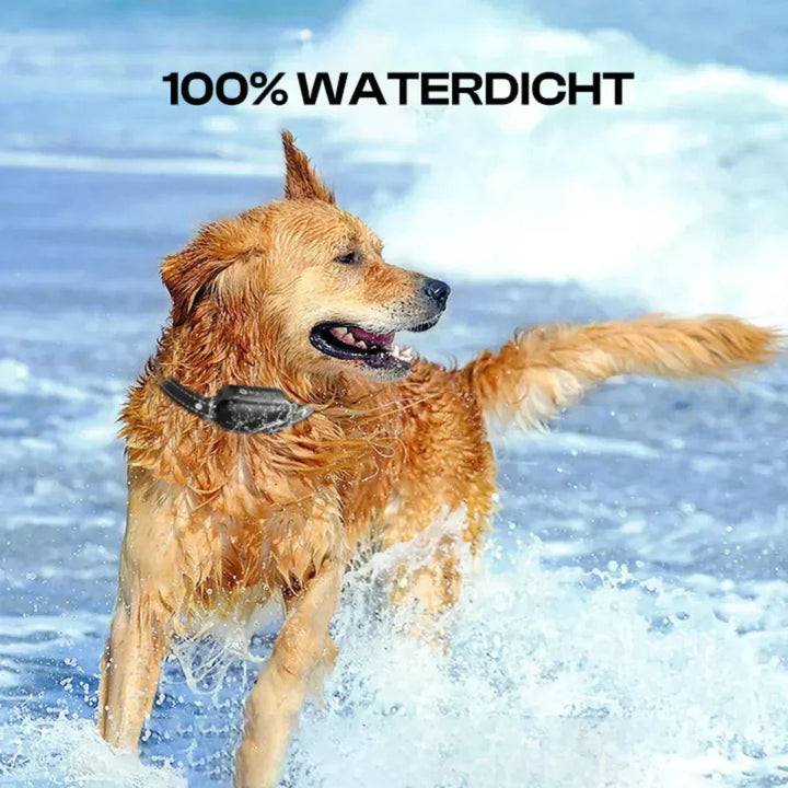 Remote dog training collar, waterproof, with 3300 ft range for reliable pet obedience and safe behavior correction.