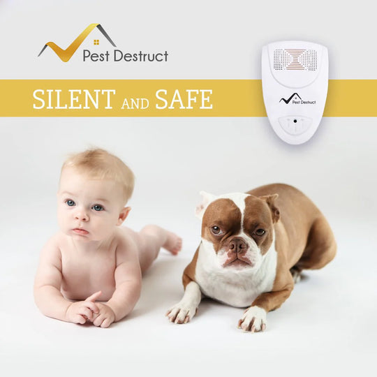 Modern ultrasonic pest control device. Silent electronic repellent keeps homes free of mice, rats, and insects safely.