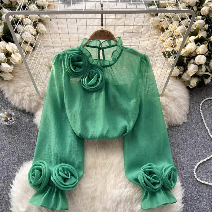 Elegant women's shirt blouse, stylish everyday top, comfortable relaxed fit for casual and work.